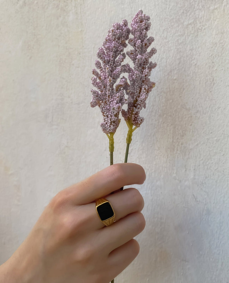 Arabella Black Signet Statement Ring