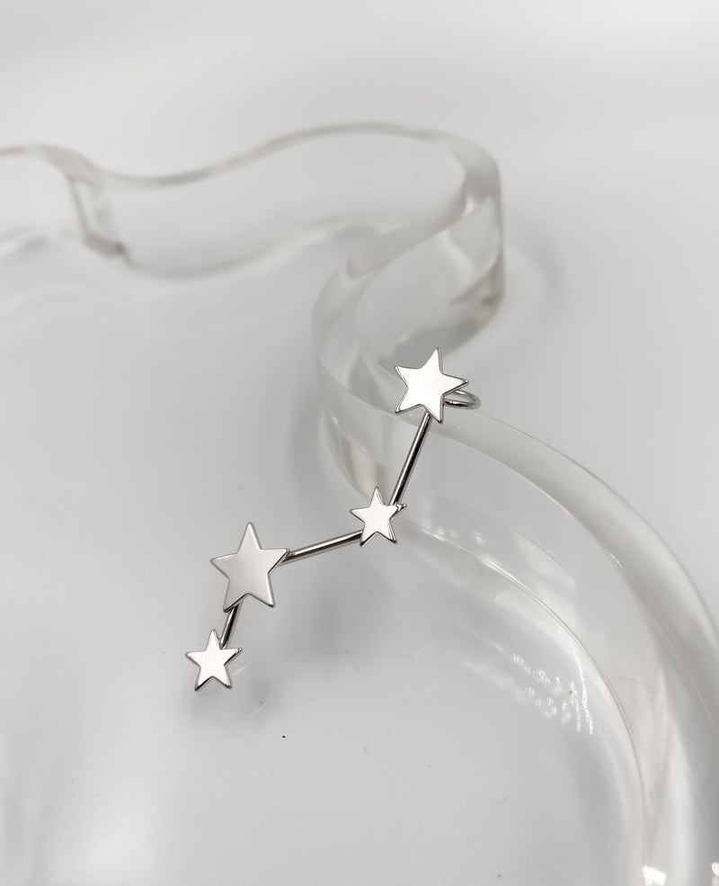Fleur Ear Climber Star Earring
