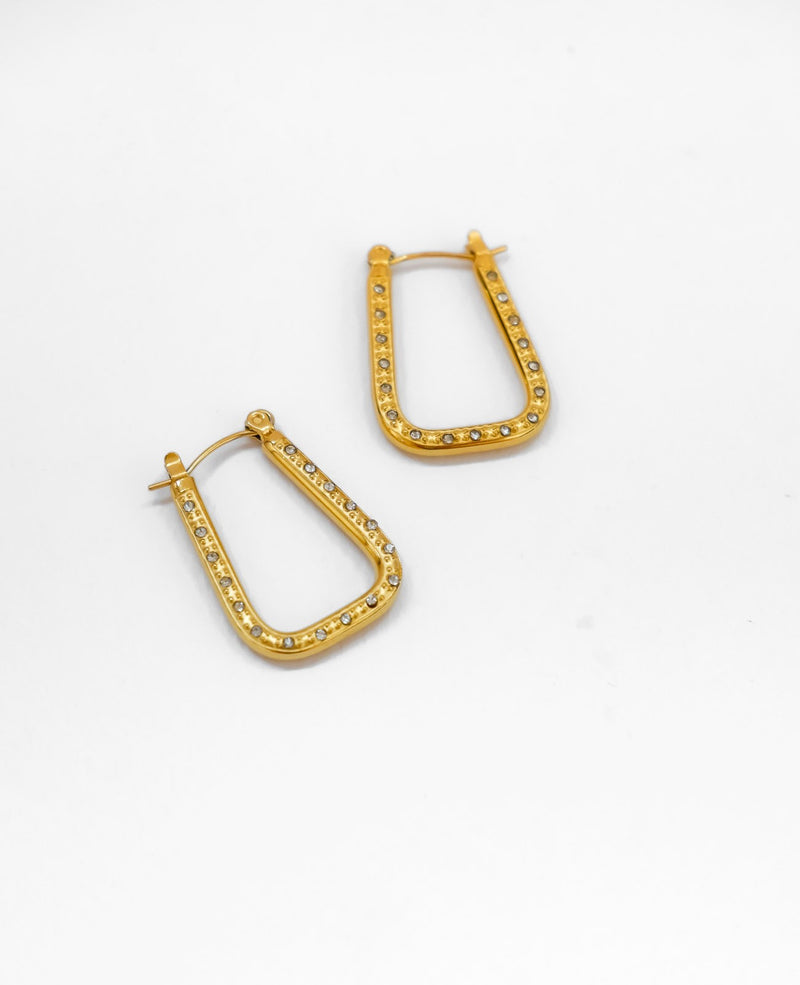 Morgan Horse Shoe Shaped Hoop Earrings